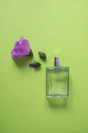 Transparent bottle of perfume with spray and purple hibiscus flowers on a yellow green background. Clear glass without lid. Flat lay trending scene with scent and budsの写真素材