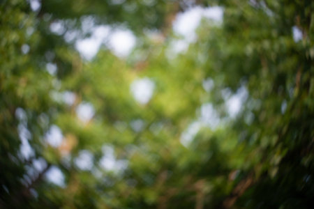 Natural green bokeh of forest in the form of a heart, blurred out of focus background. Dark summer sunlight defocus from trees. Abstract beautiful backdrop for text or advertising. Green leavesの写真素材