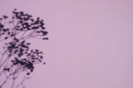 Trending concept in natural materials with plant shadow. Presentation with daylight. Natural blurred...