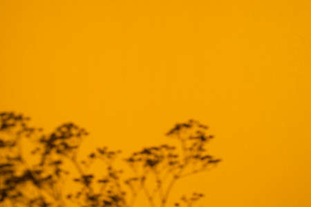 Trending concept in natural materials with plant shadow on orange. Presentation Presentation with daylight. Natural blurred shade. Summer sunlight from herb. Abstract beautiful backdrop for textの写真素材