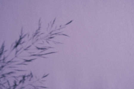 Trending concept in natural materials with plant shadow. Presentation with daylight. Natural blurred...