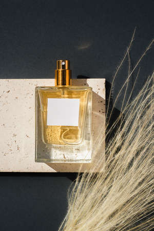 Transparent bottle of perfume on stone plate on a grey background. Fragrance presentation with daylight. Trending concept in natural materials with dry plant. Womens and mens essence.の写真素材