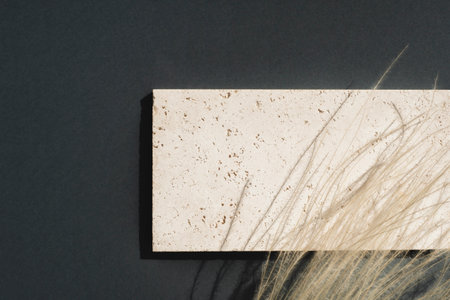 Natural stone for the presentation of jewelry and cosmetics. Storage Tray. Presentation with daylight. Summer shadows from herb. Abstract beautiful backdrop for text or advertising.の写真素材