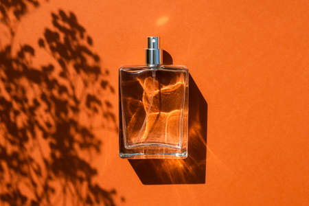Transparent bottle of perfume on an orange color background. Fragrance presentation with daylight. Trending concept in natural materials with plant shadow. Womens and mens essence.の写真素材