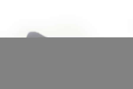 Trending concept in natural materials with eucalyptus leaves shadows on white background. Presentation with daylight. Natural blurred shade. Summer sunlight from herb. Abstract beautiful backdrop for text or advertising.の写真素材