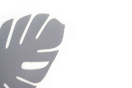 Trending concept in natural materials with palm leaf shadows on white background. Presentation with daylight. Natural blurred shade. Summer sunlight from herb. Abstract beautiful backdrop for text or advertising.の写真素材