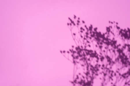 Trending concept in natural materials with plant shadow on pink background. Presentation with daylight. Natural blurred shade. Summer sunlight from herb. Abstract beautiful backdrop for text or advertising.の写真素材