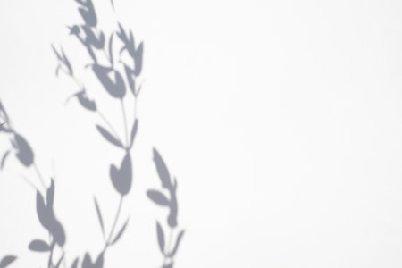Trending concept in natural materials with plant shadow on white background. Presentation with...