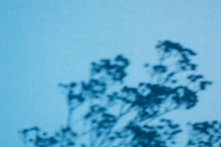 Trending concept in natural materials with plant shadow on blue. Presentation with daylight. Natural blurred shade. Summer sunlight from herb. Abstract beautiful backdrop for text or advertising.の写真素材