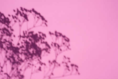 Trending concept in natural materials with plant shadow on pink background. Presentation with daylight. Natural blurred shade. Summer sunlight from herb. Abstract beautiful backdrop for text or advertising.の写真素材