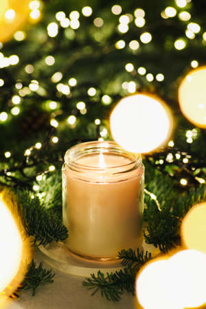 Scent candle in transparent jar against the background of green Christmas tree branches and lights. Home comfort concept with aroma.の写真素材