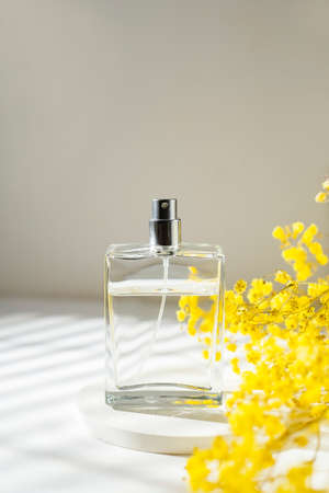 Transparent bottle of perfume on an white background. Fragrance presentation with daylight and yellow dry plants. Trending concept in natural materials . Womens and mens essence.の写真素材