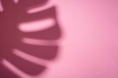 Trending concept in natural materials with palm leaves shadow on pink background. Presentation with daylight. Natural blurred shade. Summer sunlight from herb. Abstract beautiful backdrop for text or advertising.の写真素材