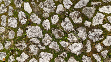 Grunge grey brick floor with moss. Vintage abstract background texture. Facade wall exterior. Architecture backdrop. Web banner for your design or site headerの写真素材