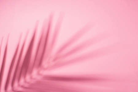 Trending concept in natural materials with palm leaves shadow on pink background. Presentation with...