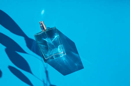 Transparent bottle of perfume on a blue background. Fragrance presentation with daylight. Trending concept in natural materials with plant shadow. Womens and mens essence.の写真素材