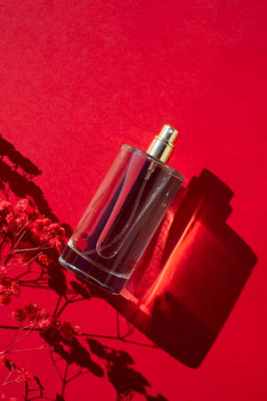 Transparent bottle of perfume on a red background. Fragrance presentation with daylight. Trending...