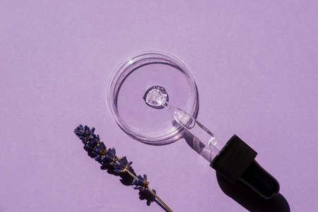 Open cap with dropper pipette with serum and petri dish with lavender flowers on lilac background. Transparent container with liquid drops with bubbles. The appearance of the texture of the gel.の写真素材