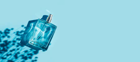 Transparent bottle of perfume on a blue background. Fragrance presentation with daylight. Trending concept in natural materials with plant shadow. Womens and mens essence.の写真素材