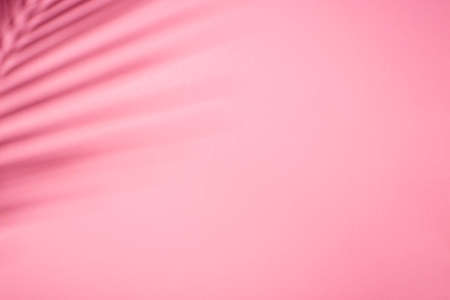 Natural blurred shade. Trending concept in natural materials with palm leaves shadow on pink...