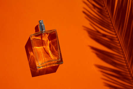 Transparent bottle of perfume on an orange background. Fragrance presentation with daylight. Trending concept in natural materials palm leaves shadow. Womens and mens essence.の写真素材