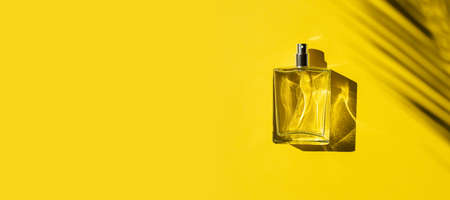 Transparent bottle of perfume with label on a yellow background. Fragrance presentation with daylight. Trending concept in natural materials with beautiful shadow. Womens essence.の写真素材