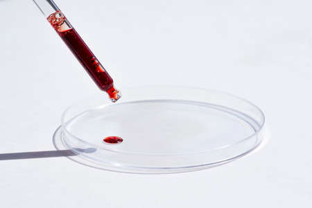 Dropper pipette with serum or red liquid and petri dish on white background. Transparent container with liquid and bubbles. The appearance of the texture of the gel. Medicine and beauty concept.の写真素材