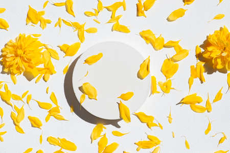 White podium for product presentation on yellow flower petals background. Empty cylindrical platform...