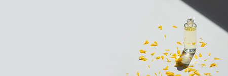 Open transparent bottle without cap with serum or essential oil with beautiful yellow flowers. White background with daylight and beautiful shadows. Beauty concept for face and body careの写真素材