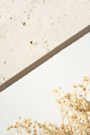 Natural stone for the presentation of jewelry and cosmetics. Trending concept in natural materials with dry plants on white background. Presentation backdrop for text or advertising.の写真素材
