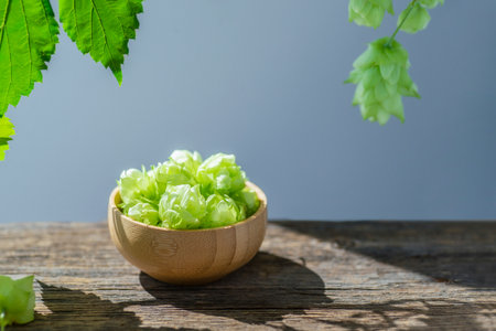 Green ripe hop cones in a wooden bowl for brewery and bakery. Branch with leaves. Beer brewing...