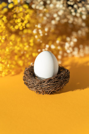 Nest with white egg with gypsophila yellow flowers. Minimal Easter concept with copy space for text.の写真素材