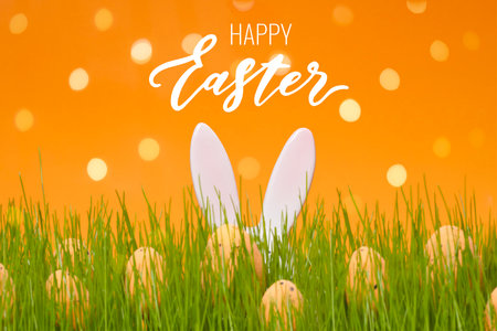 Easter egg hunt postcard with Happy Easter lettering. Bunch of eggs on green meadow and orange background. Bunny rabbit ears sticking out of the grass.の写真素材
