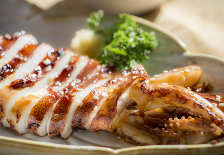 squidの写真素材