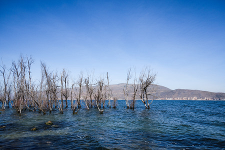 Erhai lakeの写真素材
