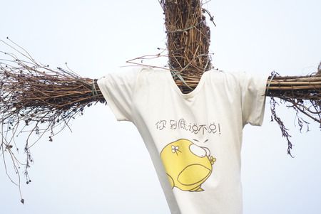 The scarecrow in the rural features