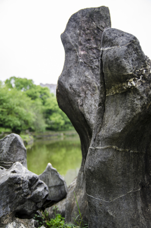 Landscape gardenの写真素材