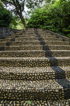 Landscape garden
