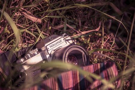 A camera lying on the grass