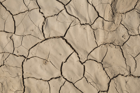 Hi resolution arid cream ground texture photoの写真素材