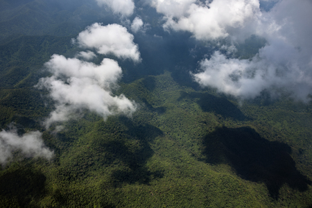 White cloud floating above the forrest mountain full of treesの写真素材