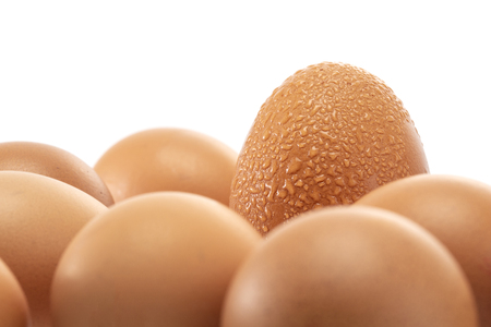 A group of eggs surroundding to one egg with sweat isolated on white backgroundの写真素材