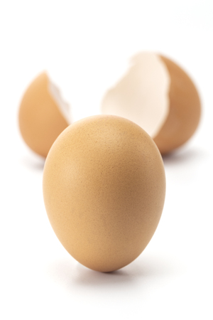 Strong egg stand up and broken egg isolated on white backgroundの写真素材