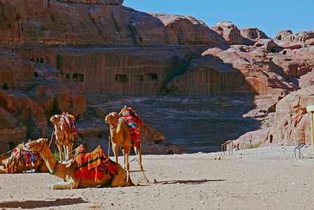 Petra, Jordan.の写真素材