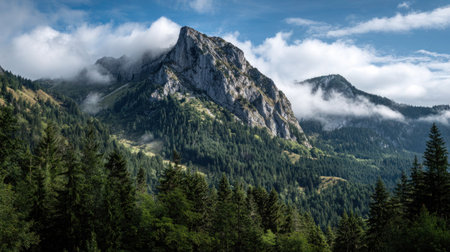 Scenic mountain landscape surrounded by forest and fog.の素材