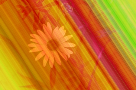 background of flowers with pretty rainbow colorの写真素材