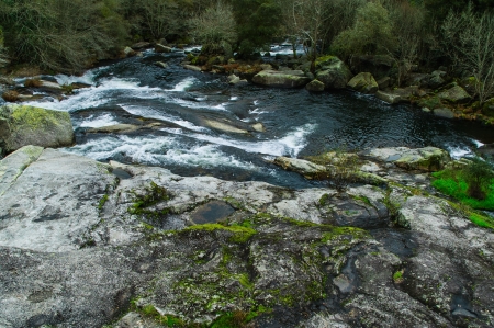 Zone of stones in a riverの写真素材