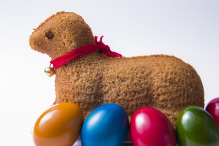 Easter Lamb with Eggsの写真素材