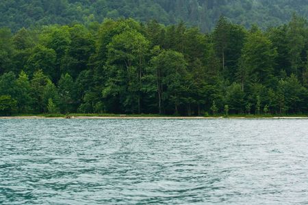 Lake and forest in a mountain sceneryの写真素材
