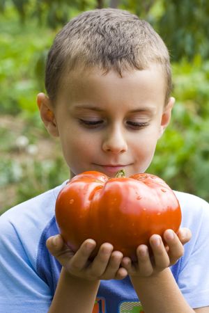 Boy holding a giant tomatoの写真素材